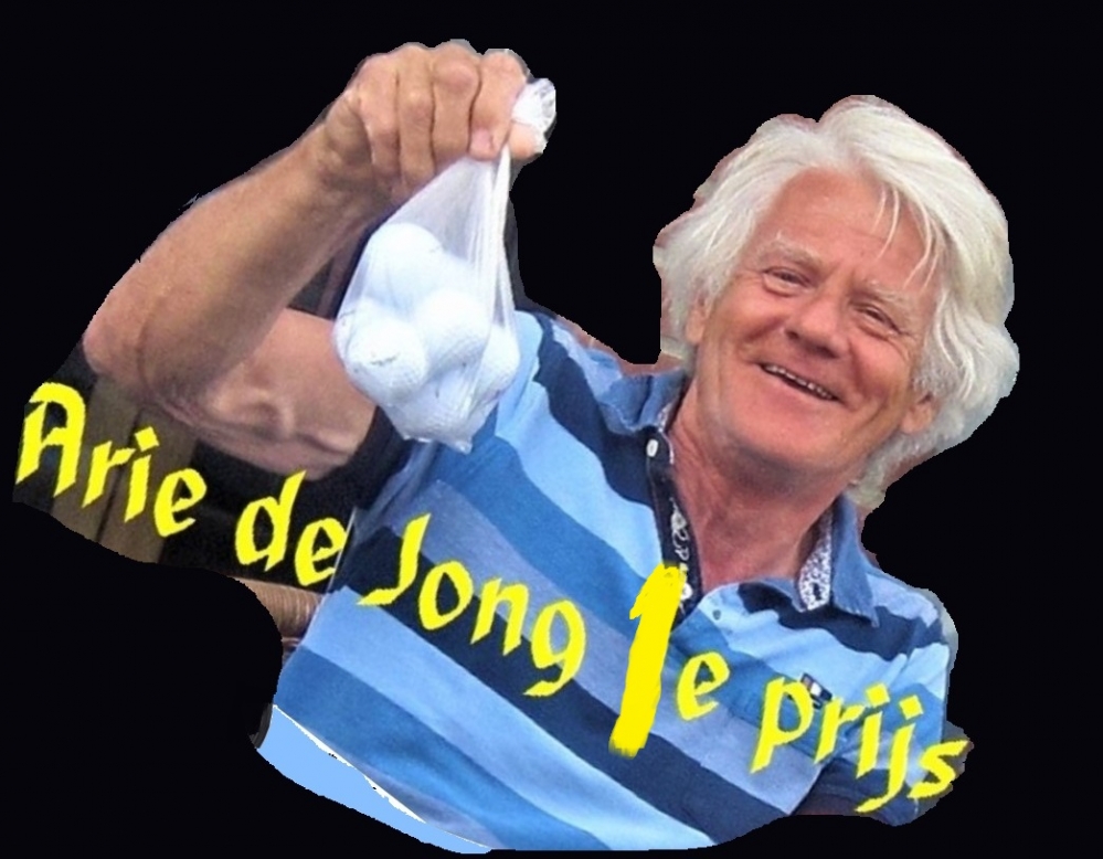 Arie de Jong
